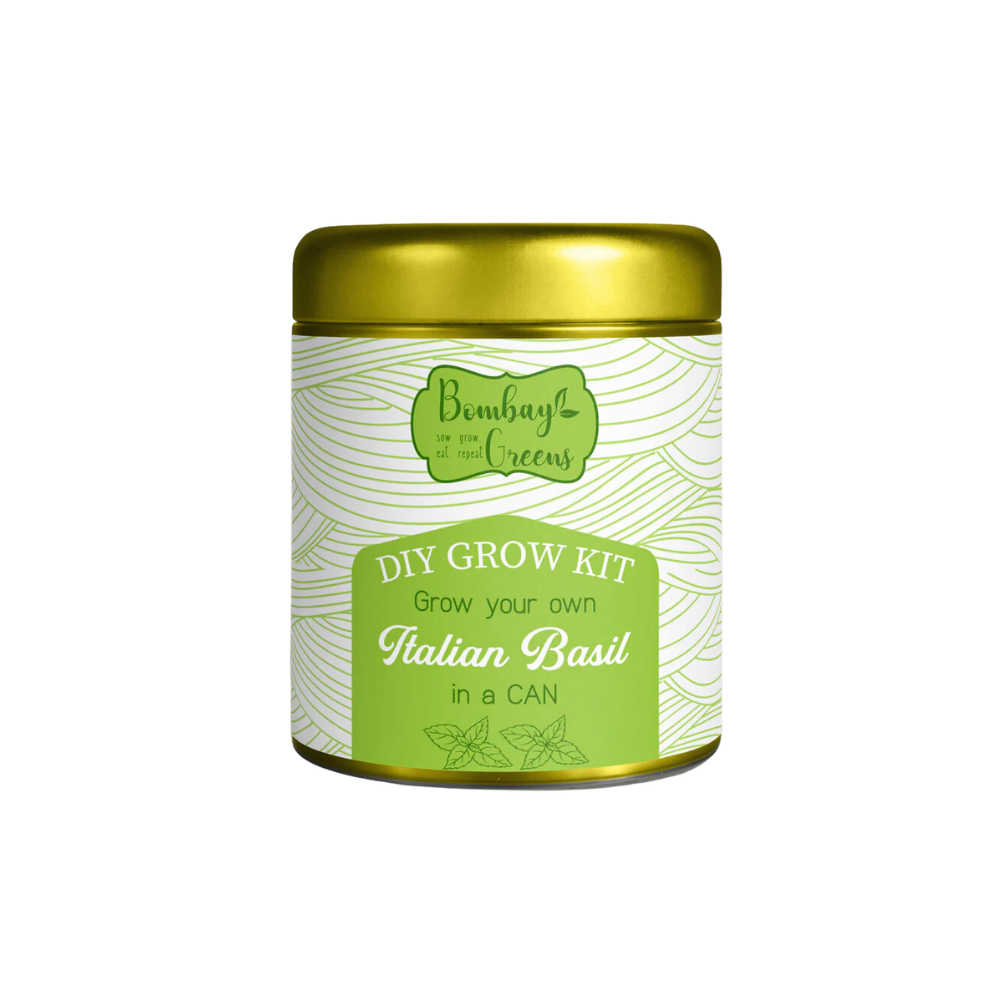 Italian Basil Grow in a Can Kit Bombay Greens The Gourmet Box